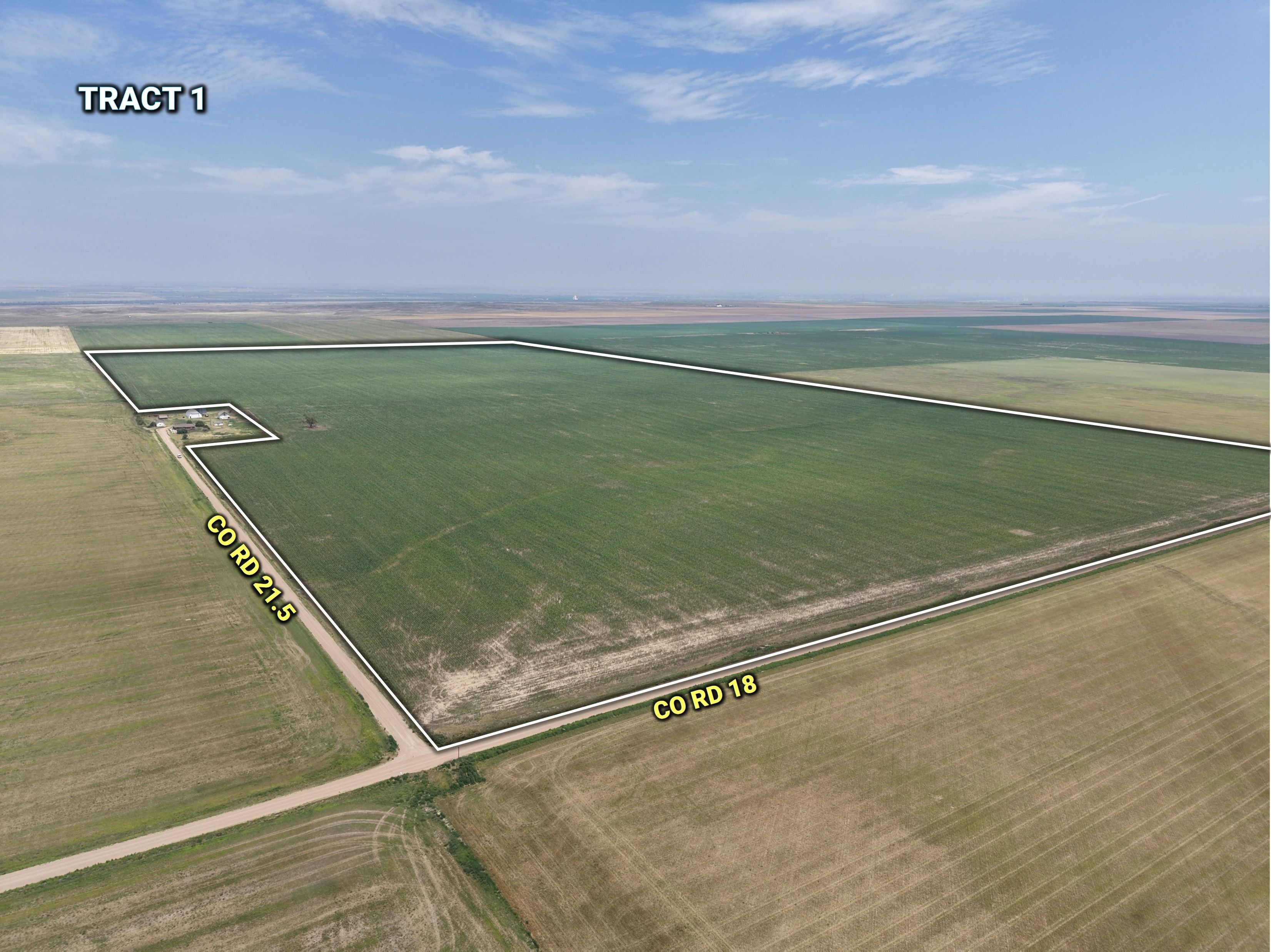 Listing #19584